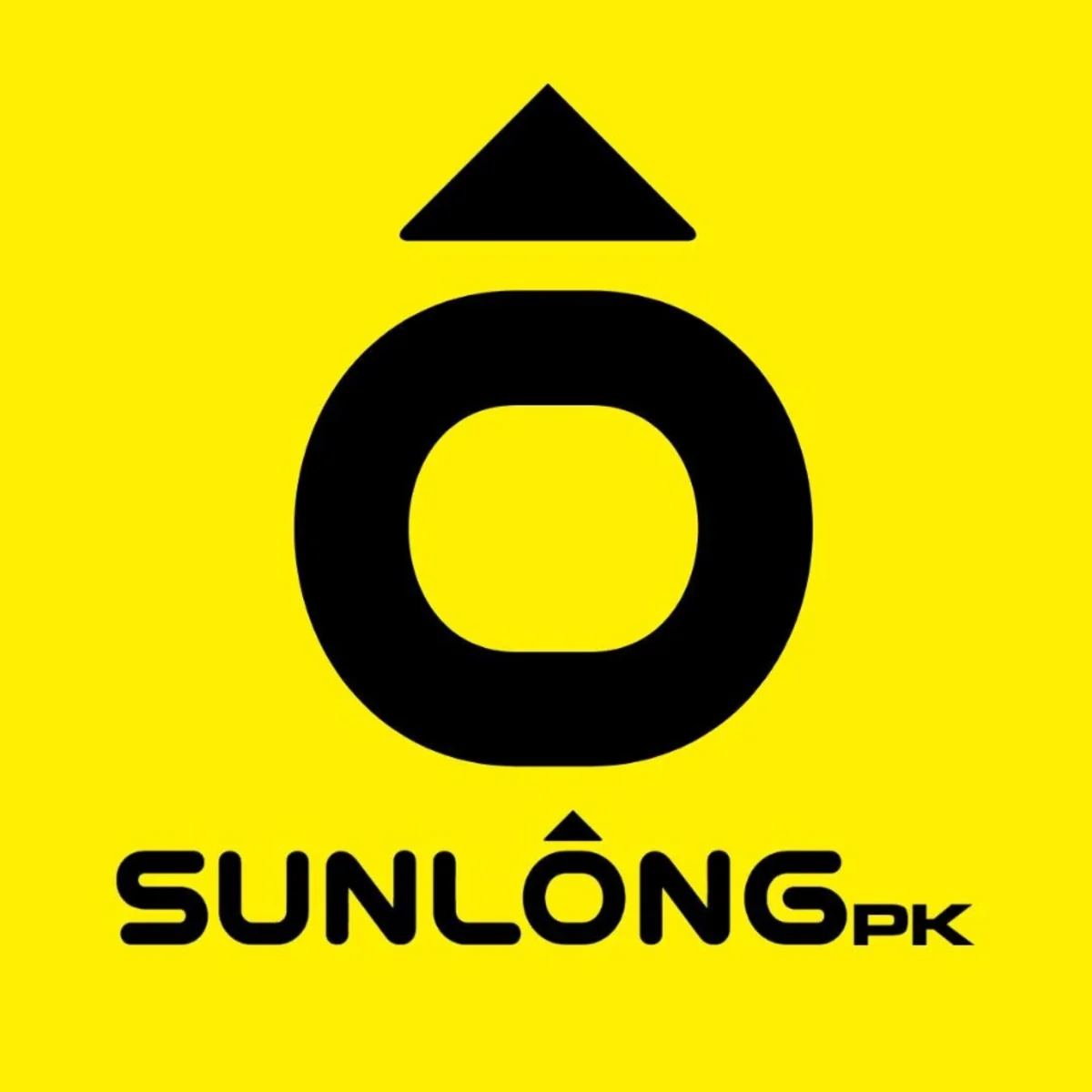 Sunlong Pakistan